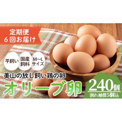【毎月定期便】鹿児島県産美山オリーブ卵(40個)全6回