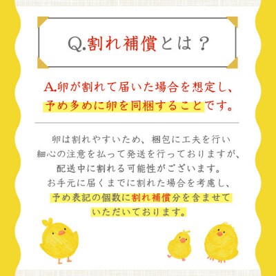 【毎月定期便】鹿児島県産美山オリーブ卵(40個)全6回