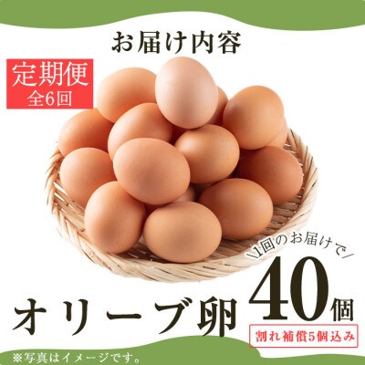 【毎月定期便】鹿児島県産美山オリーブ卵(40個)全6回