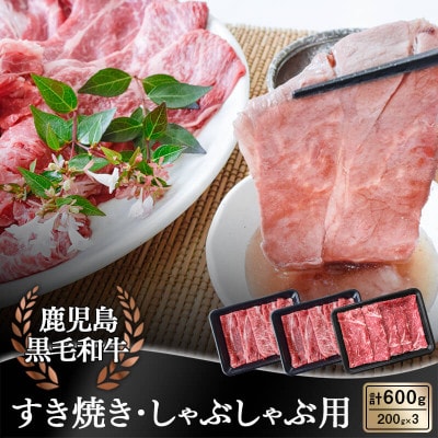 鹿児島県産 黒毛和牛 すき焼き・しゃぶしゃぶ用600g(日置市)