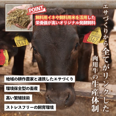 自慢の自社ブランド牛 「上村牛ユッケ」 7人前(40g×7P) 和牛 生食 【カミチク】(日置市)