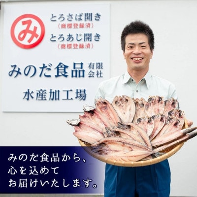 大きめ干物詰合せ 計3.6kg!【みのだ食品】No.406-B