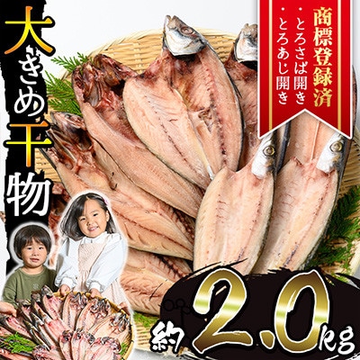 大きめ干物詰合せ 計2.0kg! 【みのだ食品】	No.406-A