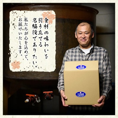さくらめんつゆセット(めんつゆ 500ml×3本)ストレートタイプNo.904