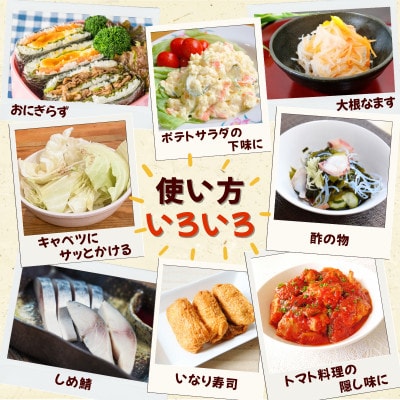 チカラ合わせ酢・万能タイプ(1000ml×3本)【伊集院食品】