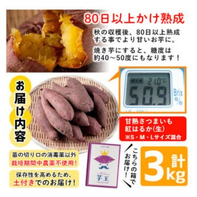 甘熟さつまいも紅はるか生 3kg(S・M・Lサイズ混在)