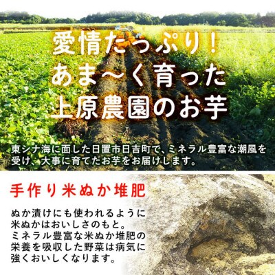 甘熟さつまいも紅はるか生 3kg(S・M・Lサイズ混在)
