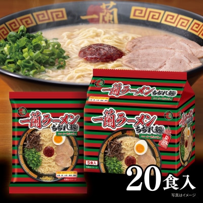 一蘭ラーメンちぢれ麺20食セット(日置市)