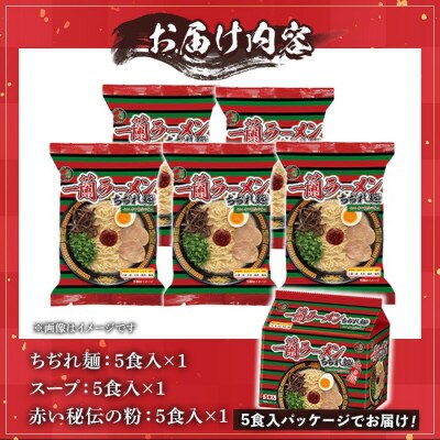 一蘭ラーメンちぢれ麺5食セット(日置市)