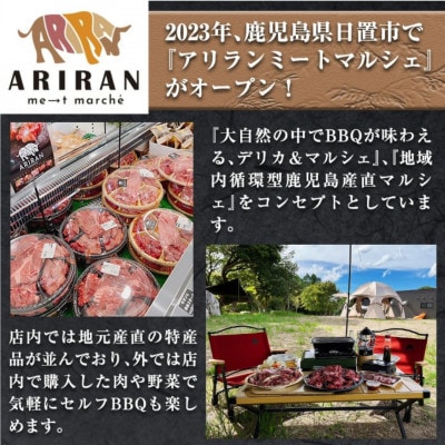 鹿児島県産 黒毛和牛 切り落とし (計1kg・250g×4P) 【アリラン飯店】 706-v02