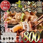 牛タン塩・国産 牛ホルモン塩 計800g 【アリラン飯店】 795