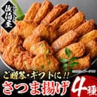 本場鹿児島県産!保存料・防腐剤無添加! さつま揚げ 詰合せ (4種・約650g)　No.312