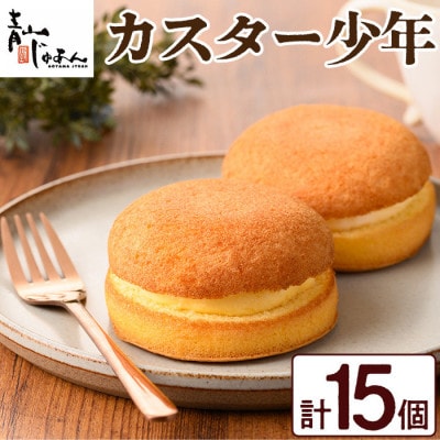 カスター少年(15個入)