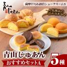 青山じゅあんおすすめセットA(5種・合計17個入)