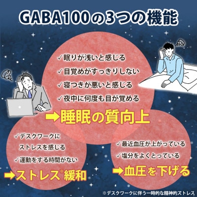 【てまひま堂】GABA100(1袋62粒入り×2袋)鹿児島　日置市　1日2粒目安
