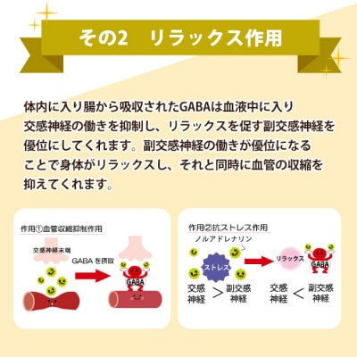【てまひま堂】GABA100(1袋62粒入り×2袋)鹿児島　日置市　1日2粒目安