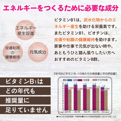 【てまひま堂】ビタミンB群(1袋31粒入り×6袋)鹿児島 日置市 1日1粒目安