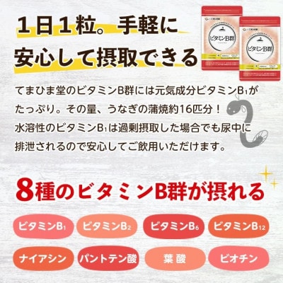 【てまひま堂】ビタミンB群(1袋31粒入り×6袋)鹿児島 日置市 1日1粒目安