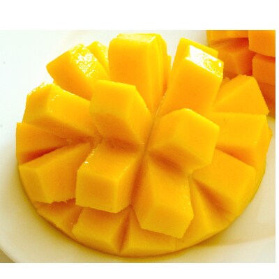 先行受付 太陽のタマゴ 宮崎県串間市産 みやざき完熟マンゴー 4l 2個入り お礼品詳細 ふるさと納税なら さとふる