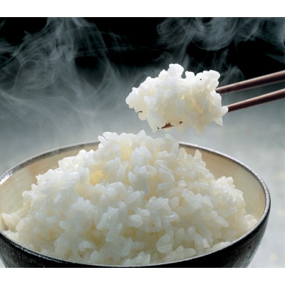 串間産　夏の笑み10kg