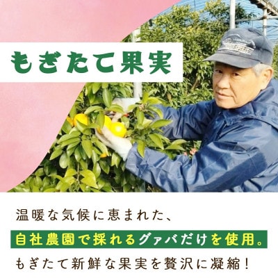 宮崎果汁　ドリンク2本セット(グァバ・マンゴー)