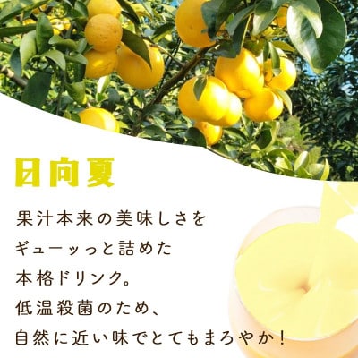 あふれる果実感!宮崎果汁 ドリンク2本セット(マンゴー・日向夏)　各720ml