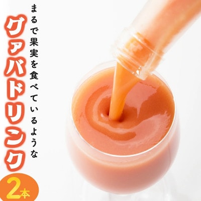 宮崎果汁　グァバドリンク2本セット(720ml×2本)