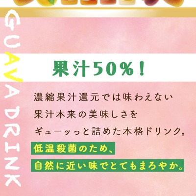 宮崎果汁　グァバドリンク2本セット(720ml×2本)