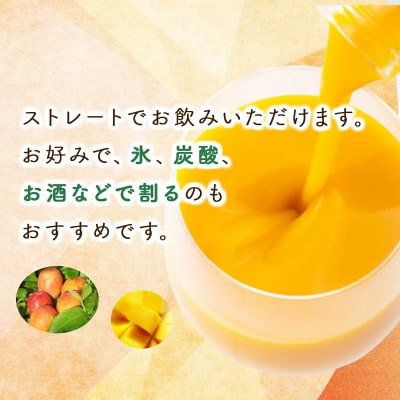 宮崎果汁　マンゴードリンク2本セット(720ml×2本)