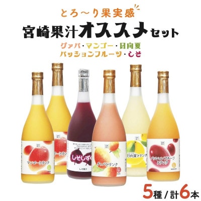驚きの果実感! 宮崎果汁オススメセット(720ml×6本)