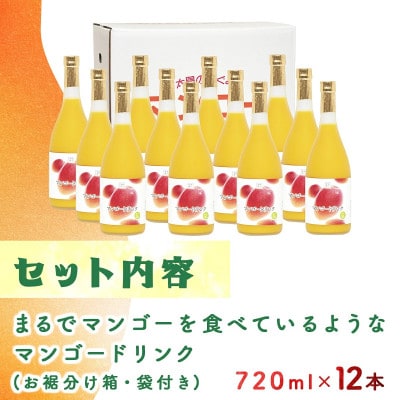 宮崎果汁　マンゴードリンク12本セット(各720ml)