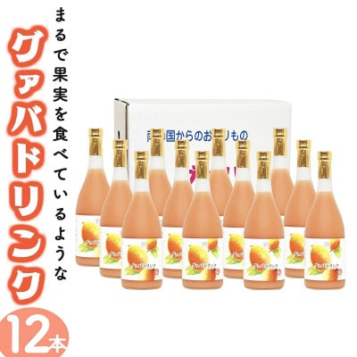 宮崎果汁　グァバドリンク12本セット(各720ml)
