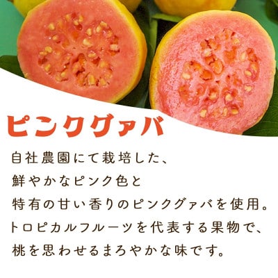 宮崎果汁　グァバドリンク12本セット(各720ml)