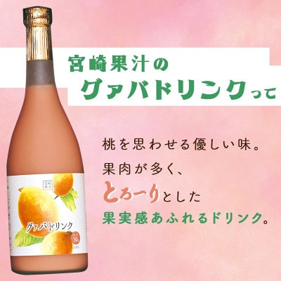 宮崎果汁　グァバドリンク12本セット(各720ml)