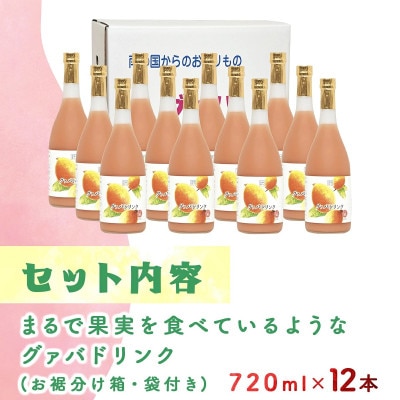 宮崎果汁　グァバドリンク12本セット(各720ml)