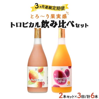 【毎月定期便】驚きの果実感!グァバ・パッションフルーツドリンク2本セット(各720ml)全3回