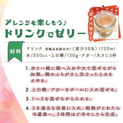 【毎月定期便】驚きの果実感!グァバ・パッションフルーツドリンク2本セット(各720ml)全3回