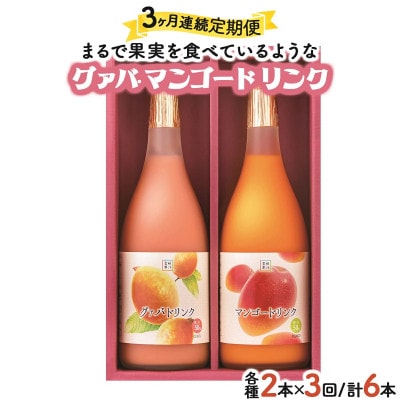 【毎月定期便】宮崎果汁 ドリンク2本セット(グァバ・マンゴー)全3回