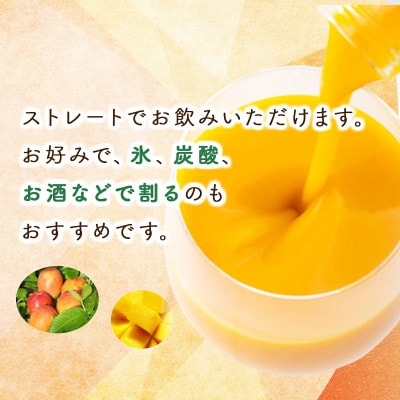 【毎月定期便】宮崎果汁 マンゴードリンク3本セット全4回