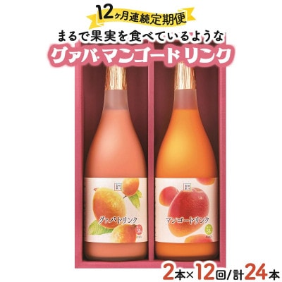 【毎月定期便】とろーり果実感!宮崎果汁 ドリンク2本セット(グァバ・マンゴー)　各720ml全12回