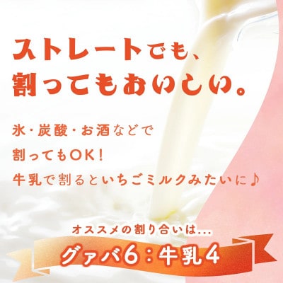 【毎月定期便】とろーり果実感!宮崎果汁 ドリンク2本セット(グァバ・マンゴー)　各720ml全12回