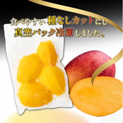 宮崎完熟マンゴー スライス カット 400g×2パック 計800g(2Lサイズ約2～4個分)