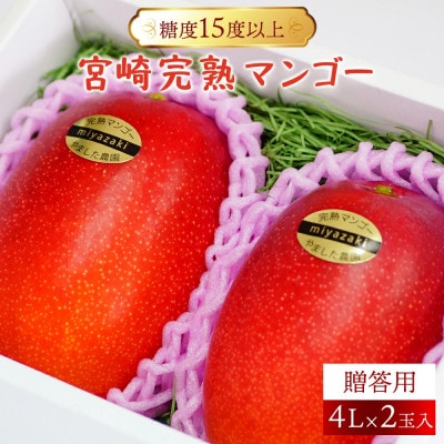 糖度15度以上の宮崎完熟マンゴー贈答用(4L×2玉入)×1箱