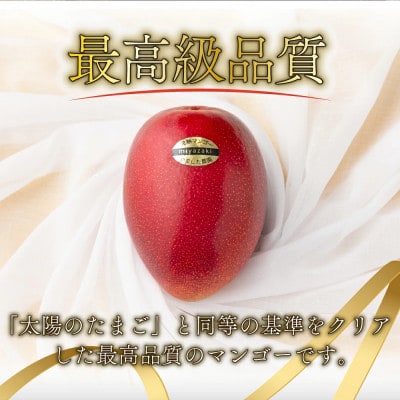 糖度15度以上の宮崎完熟マンゴー贈答用(4L×2玉入)×1箱