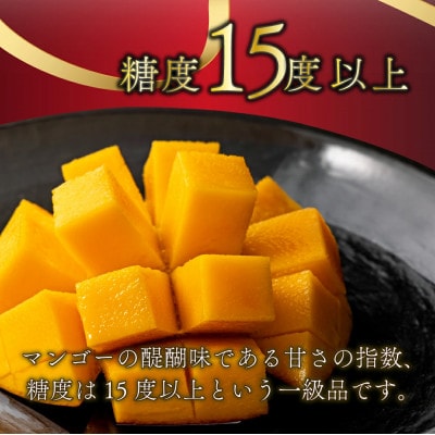 糖度15度以上の宮崎完熟マンゴー(5L×1玉入・贈答用) 1箱