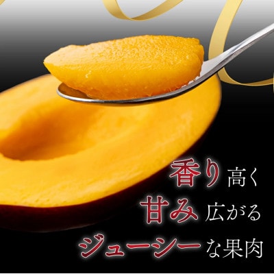 糖度15度以上の宮崎完熟マンゴー(5L×1玉入・贈答用) 1箱