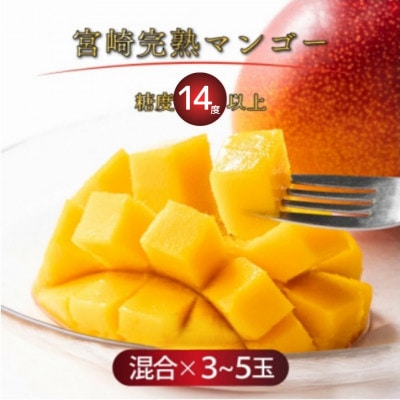 宮崎完熟マンゴー約1.8kg (大小混合3～5個)