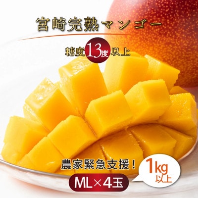 宮崎完熟マンゴー ご家庭用 小さめ M・Lサイズ2玉入り×2パック(1,000g～1,200g)