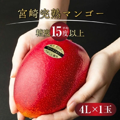 宮崎完熟マンゴー(4L×1玉入×1箱)一般用
