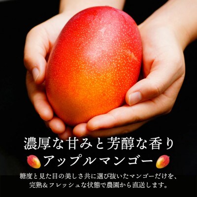 宮崎完熟マンゴー(4L×1玉入×1箱)一般用
